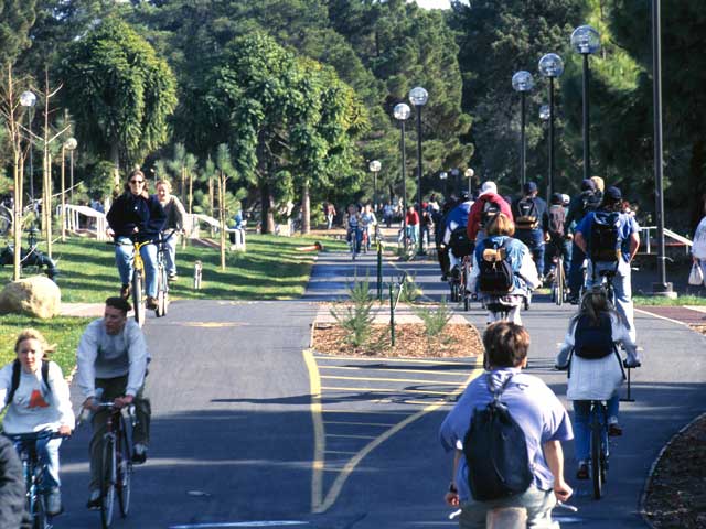 Beautifully manicured bike paths provide access to campus facilities, as well as to nearby off-campus amenities