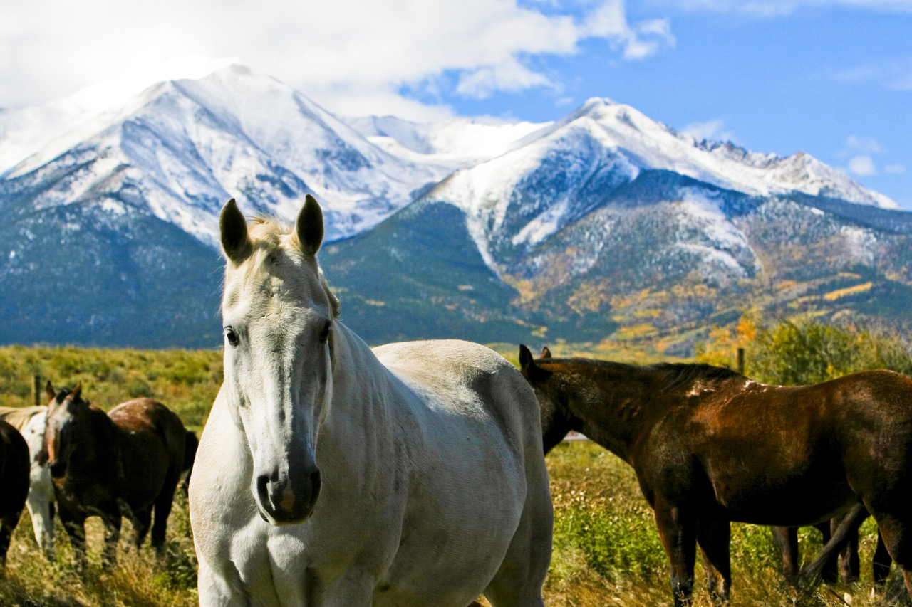 Colorado Tourism Board