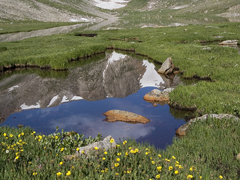 Colorado Tourism Board